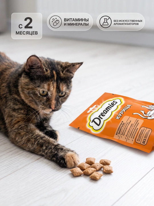 Лакомство для кошек Dreamies,  подушечки с курицей, 60 г - 