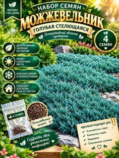 Небесно-голубой