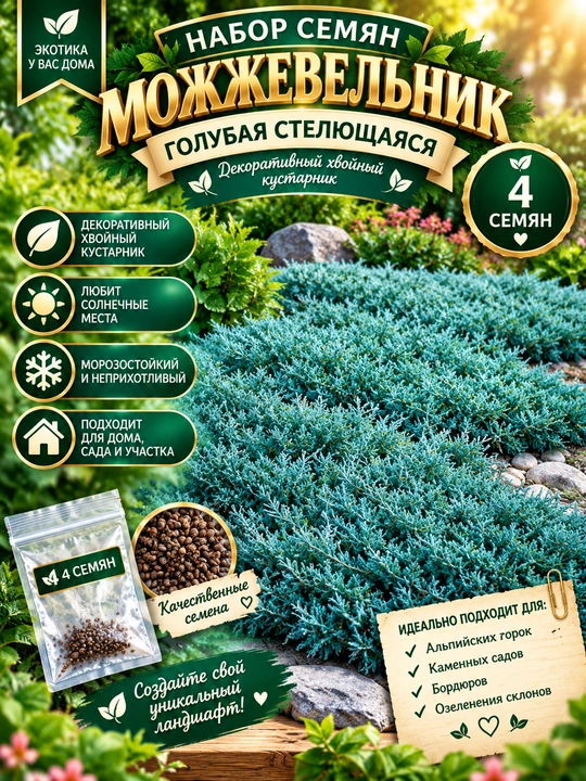 Семена Голубая Туя, Зеленая Туя, Кедр, Голубой Можжевельник - 