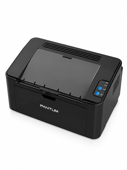 Лазерный принтер Pantum P2516, A4, 22 стр/мин, 600 dpi, 32 МБ, USB 2.0, для дома и офиса