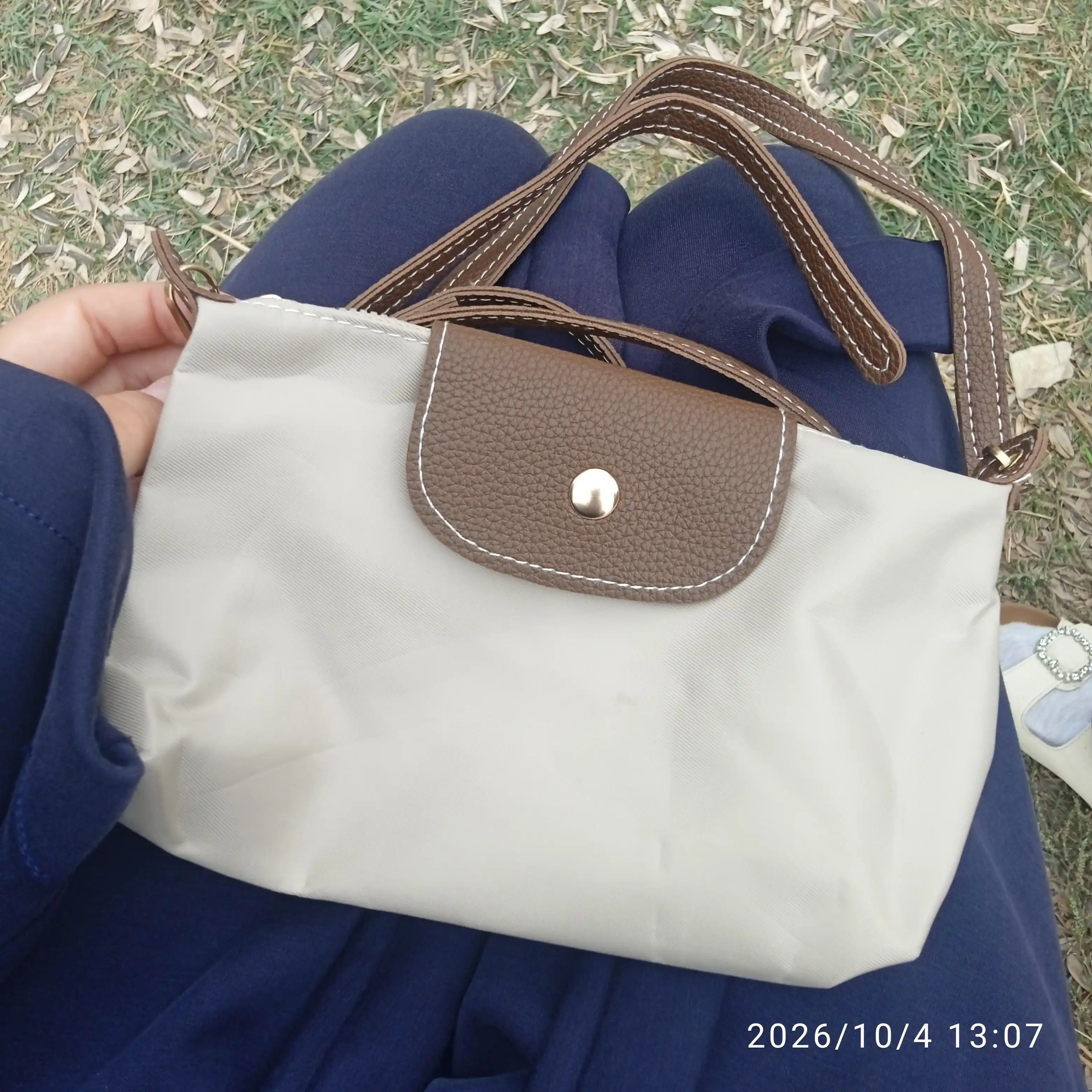 Mini Longchamp uslubidagi ayollar sumkasi, ixcham krossbodi va kosmetika sumkachasi