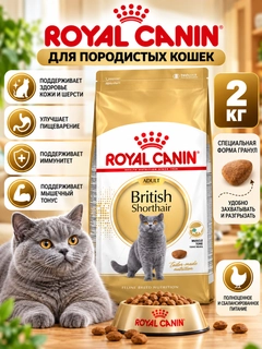 Золотой