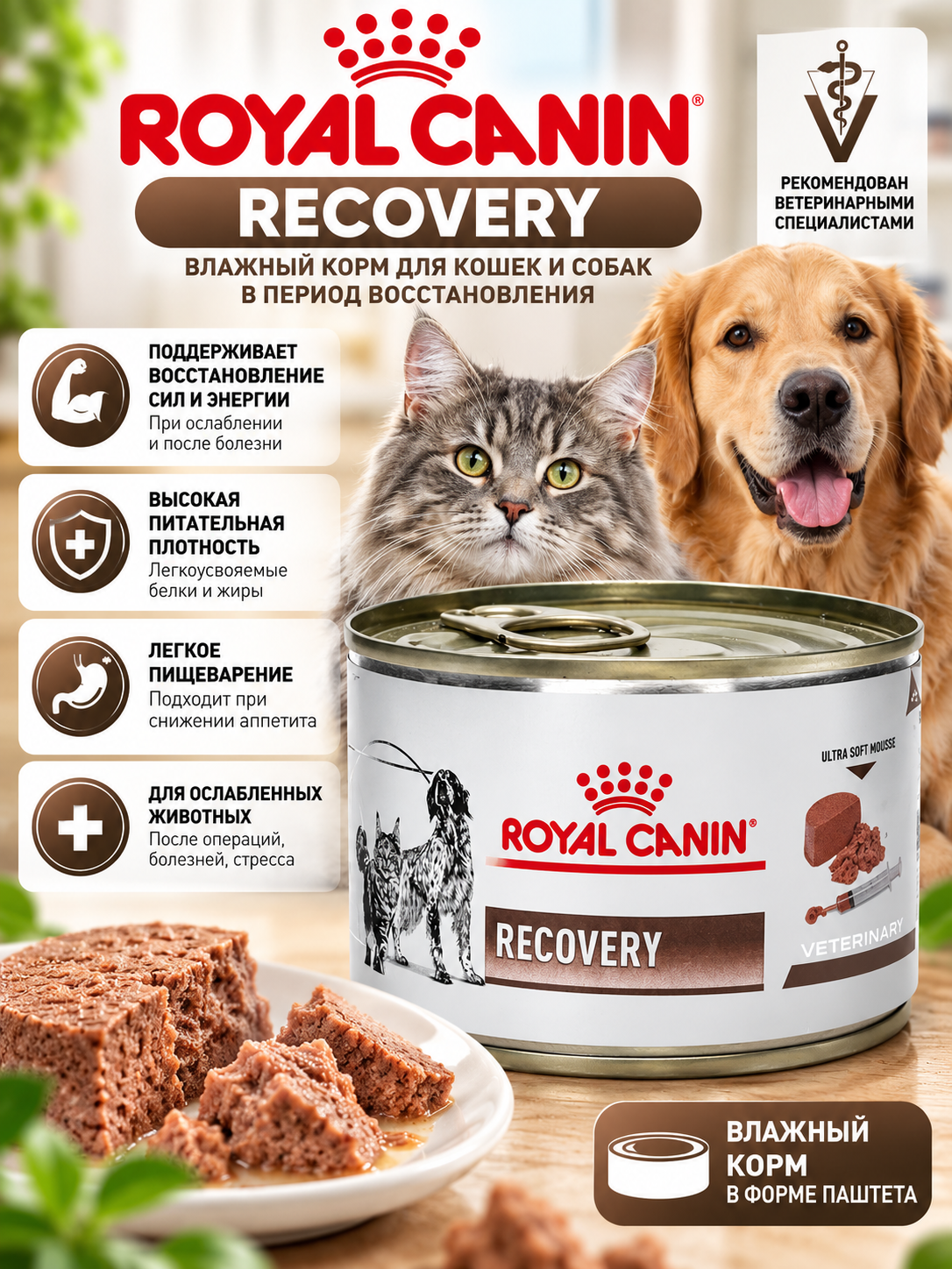 Royal Canin Recovery - полнорационный диетический корм для собак и кошек - 