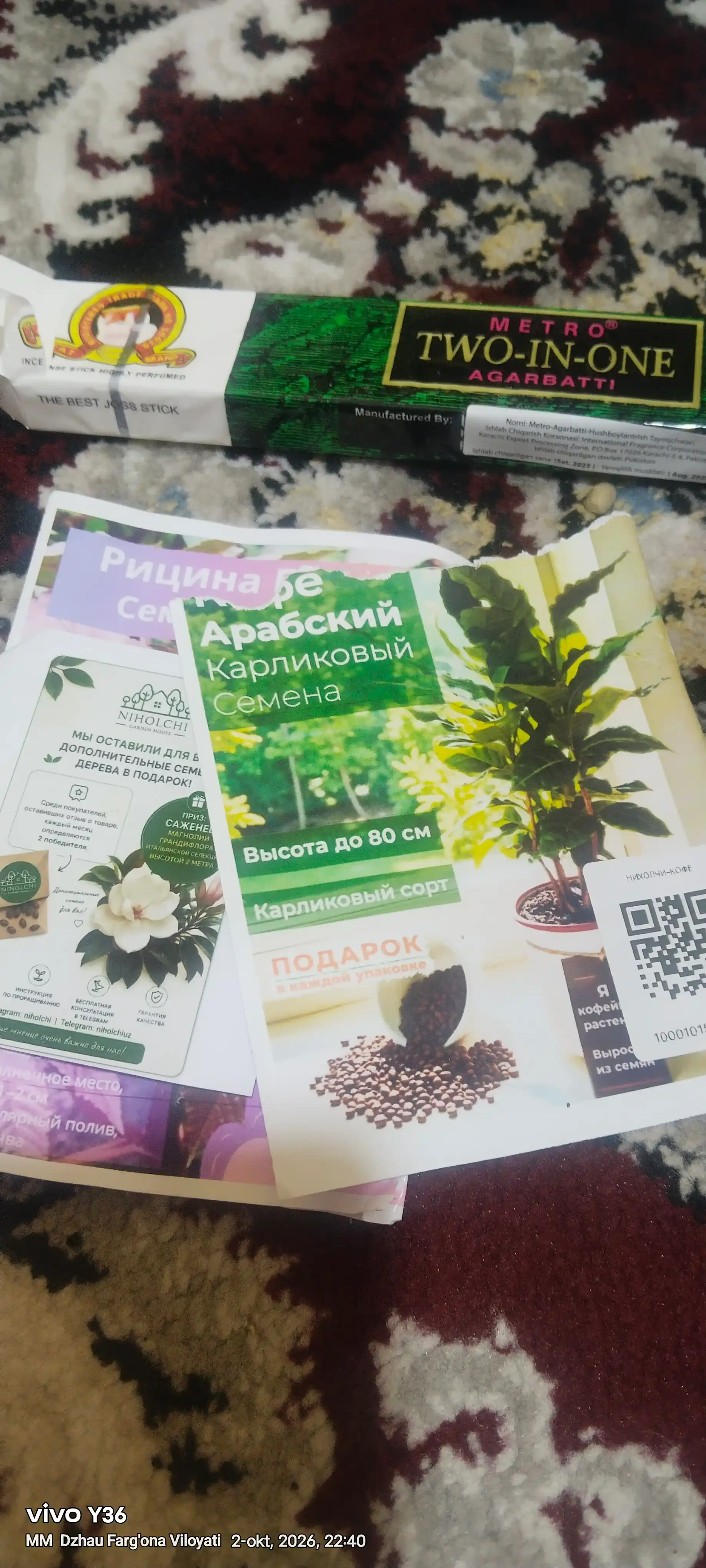 Arab mitti qahvasi Kafa, Urug‘lar, 20 dona, ekzotik o‘simliklar urug‘lari
