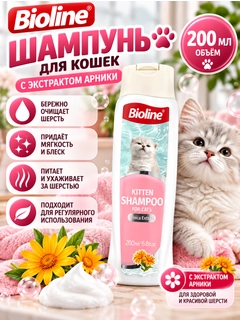 Конфетный
