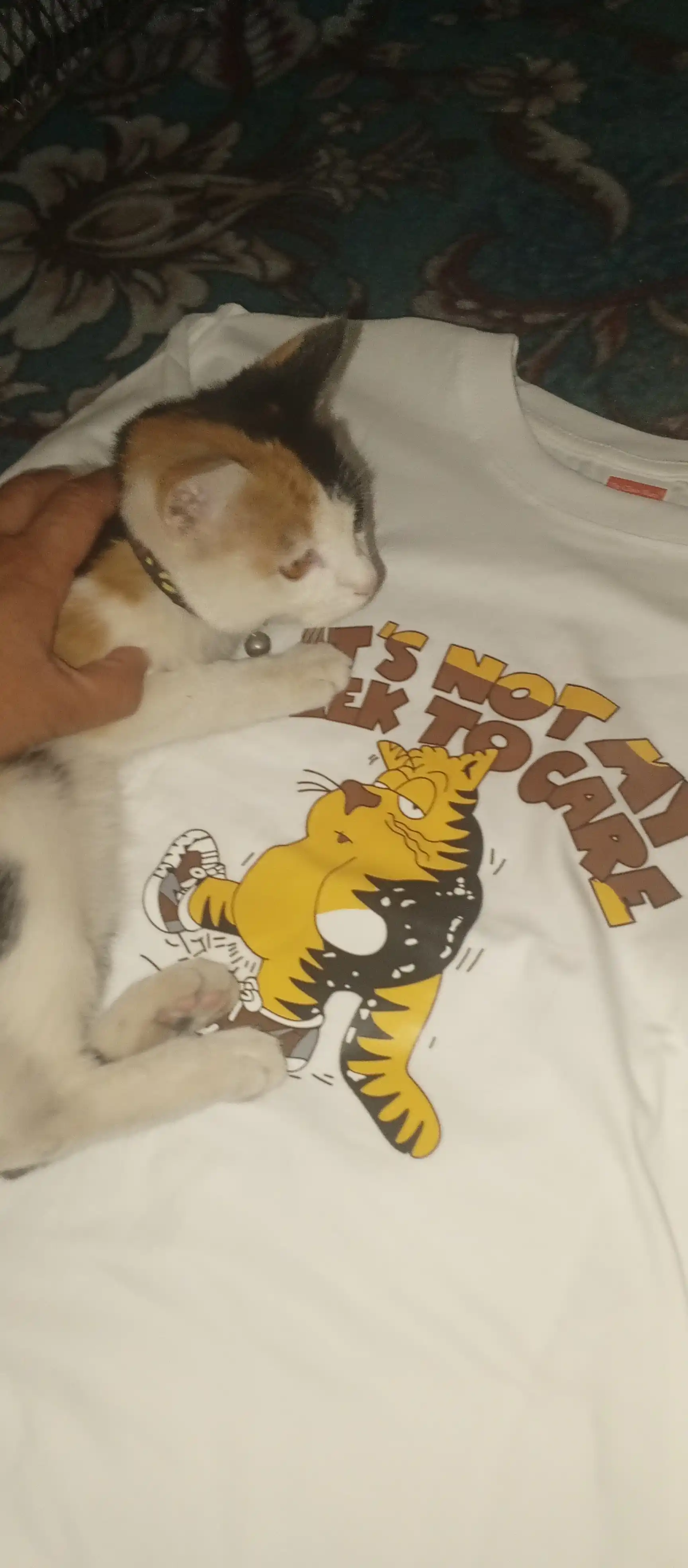 Ayollar katta o‘lchamli futbolkasi