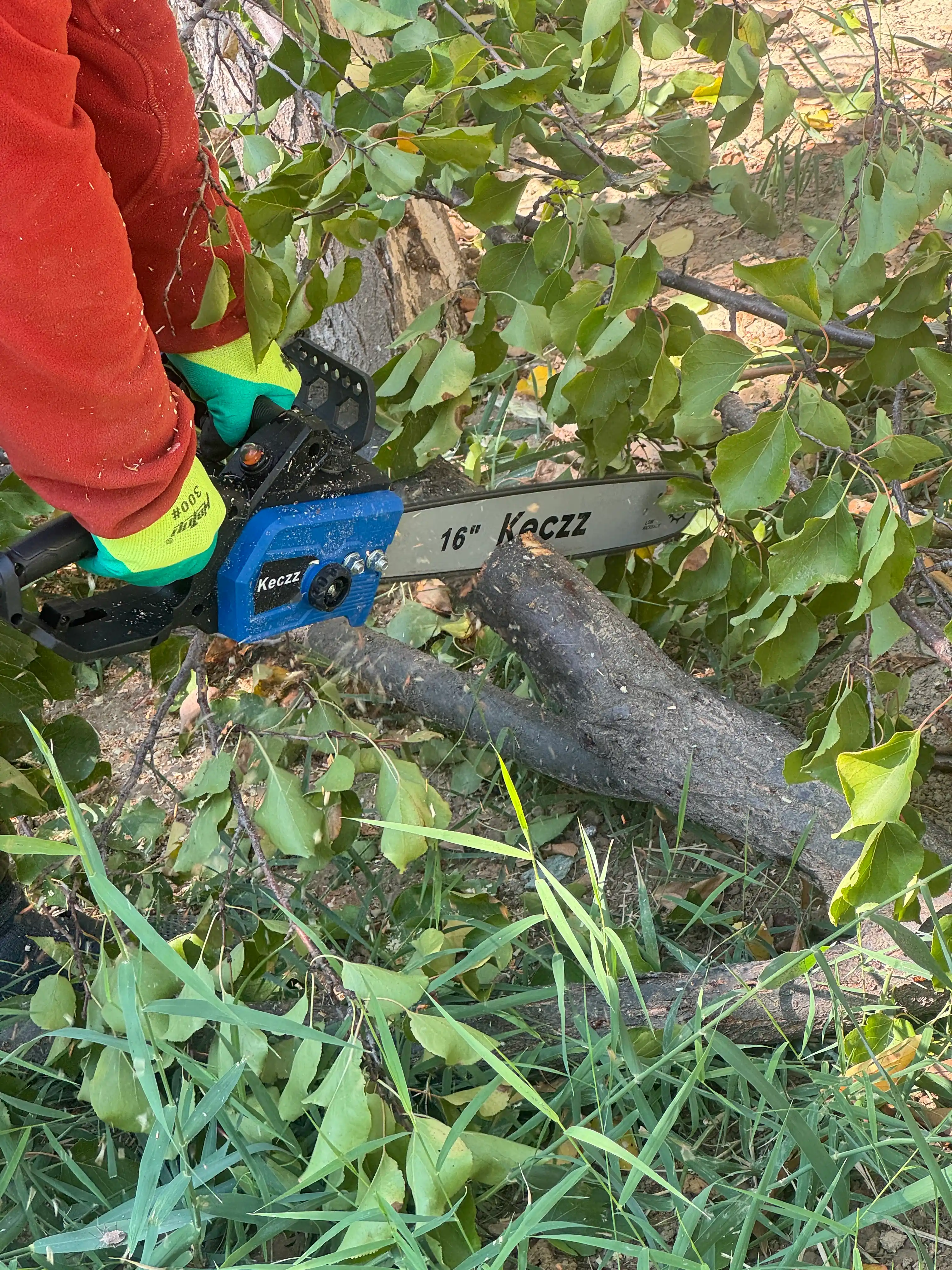 Elektr zanjirli arra HCC712