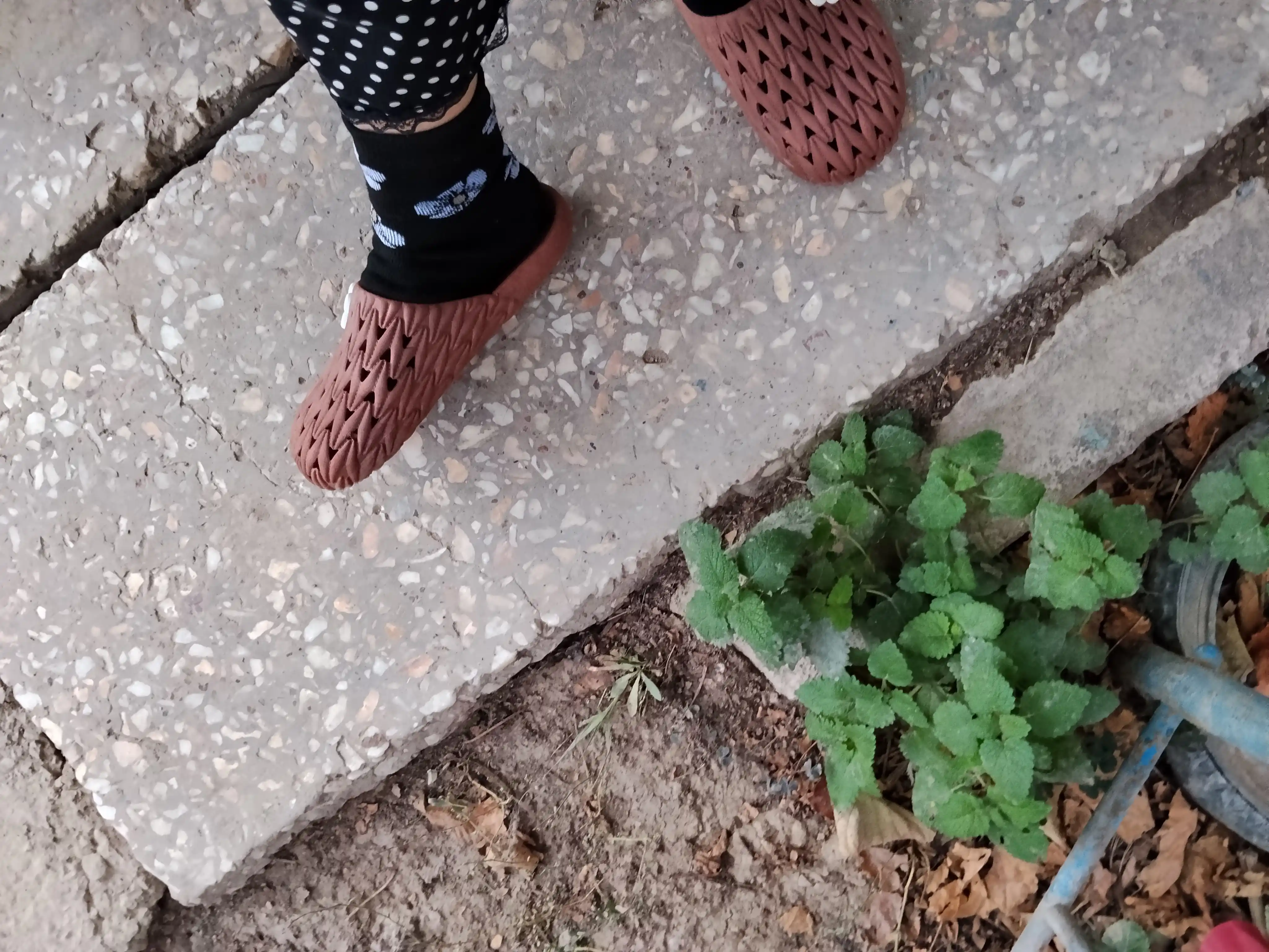 Женские и девичьи тапочки — мягкие, удобные и легкие. Идеально подходят для осени