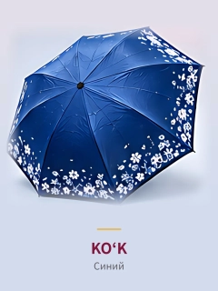 Koʻk
