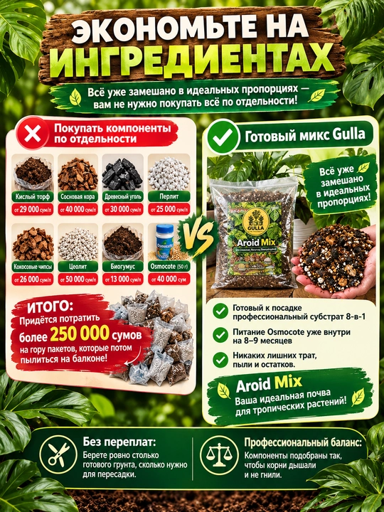 Aroid Mix steril grunti: Zamiokulkas, Spatifillum, Monstera, Anturium, 8 tasi 1 da