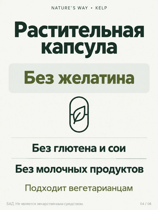 Nature's Way, Келп, цельный слоевище, 100 веганских капсул