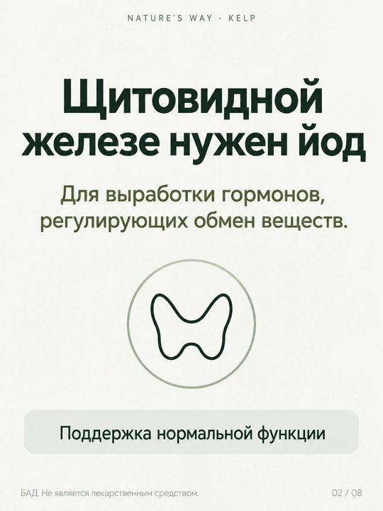 Nature's Way, Келп, цельный слоевище, 100 веганских капсул