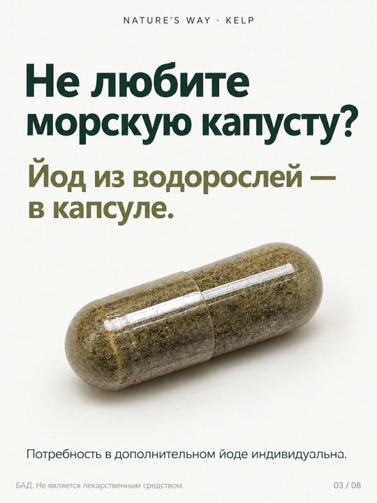 Nature's Way, Келп, цельный слоевище, 100 веганских капсул