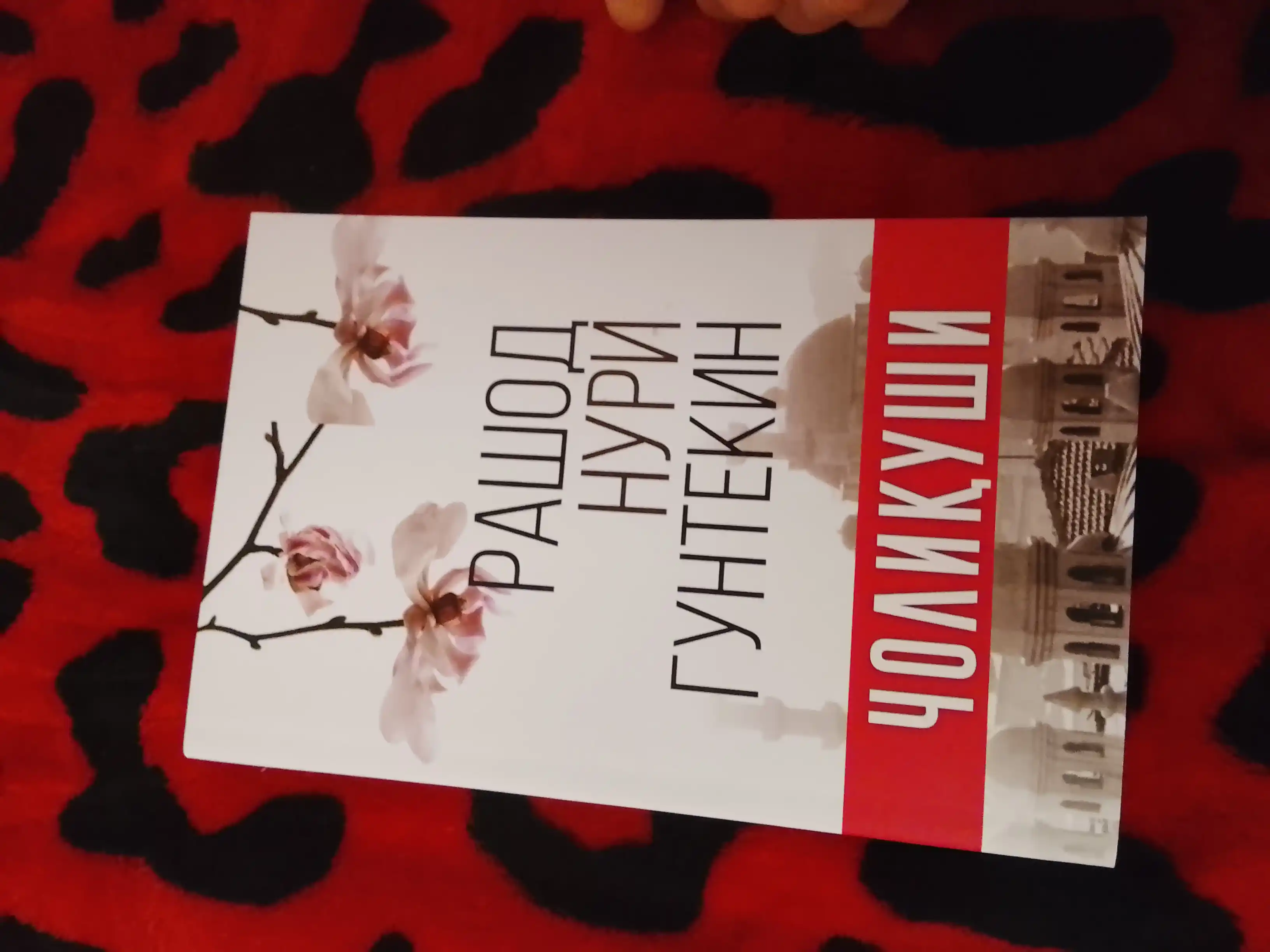 Решад Нури Гюнтекин — «Чалыкушу» книга в мягкой обложке