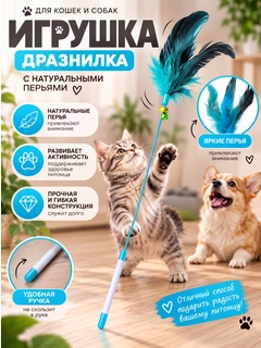 Лазурный