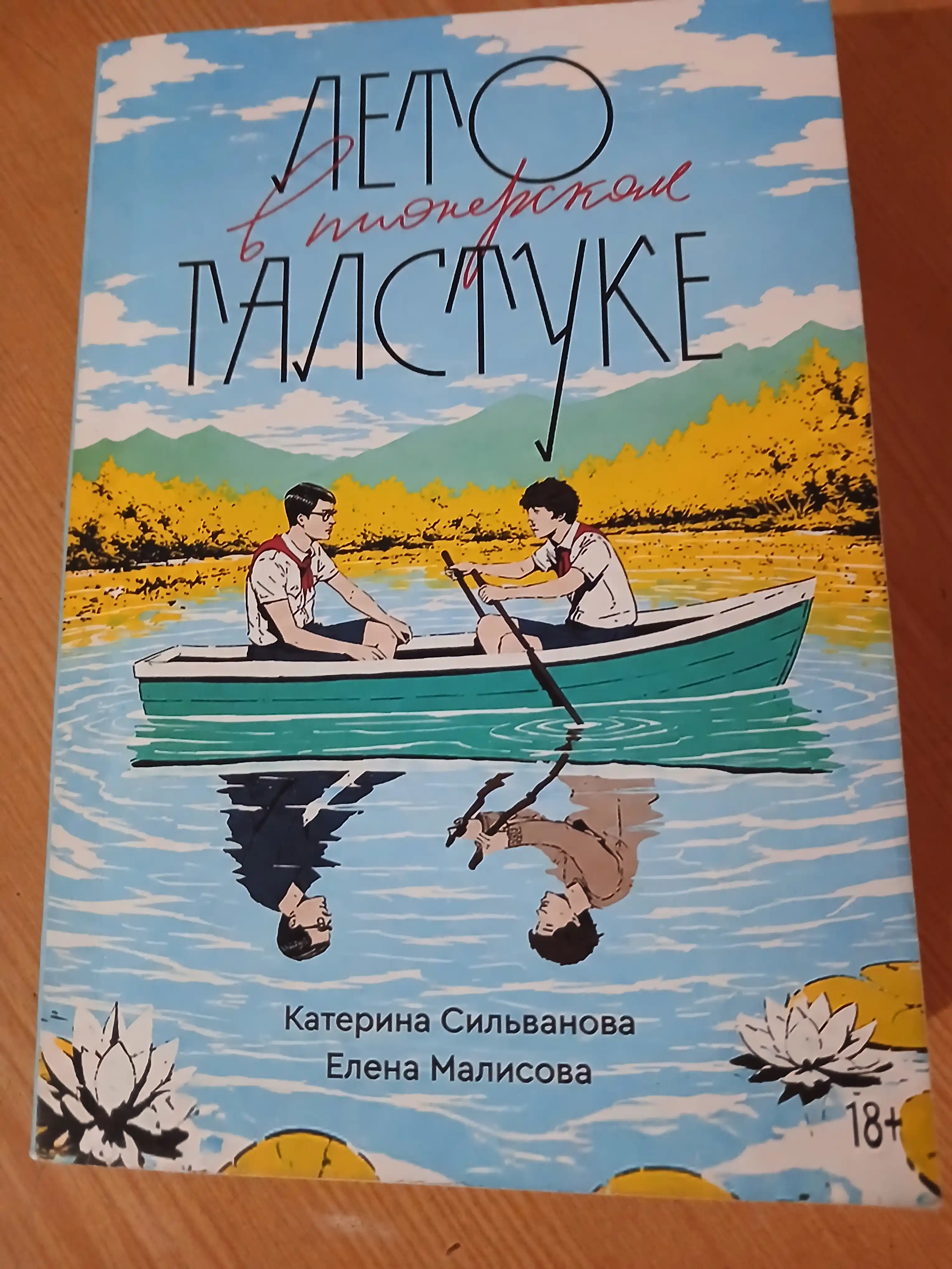 Лето в пионерском галстуке, О чем молчит ласточка
