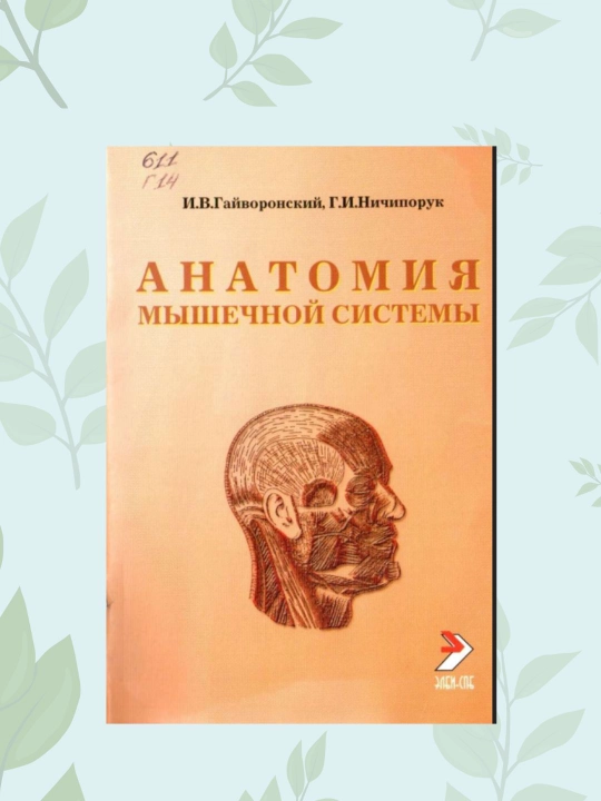 Kitob Anatomiya mishechnoy sistemi, Gayvoronskiy, tibbiyot talabalari va vrachlar uchun - 