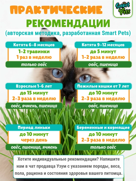 Mushuklar o'ti Smart Pets – yung g'uddalarini chiqaradi, mushuklar uchun shirinlik, 130 g