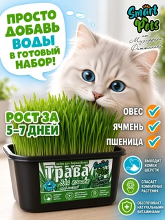 Лесной зеленый