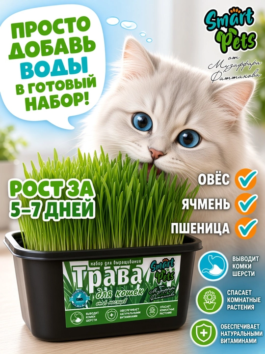 Mushuklar uchun ko'kat Smart Pets, mushuk o'ti — mushuklar uchun shirinlik - 