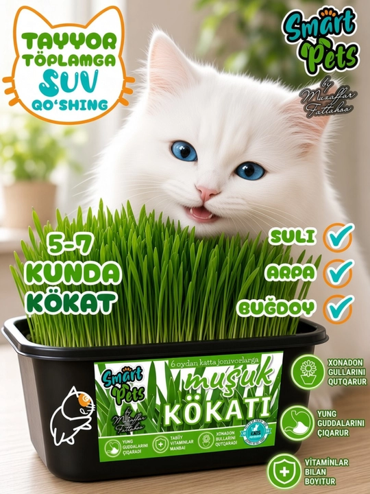 Mushuklar uchun ko'kat Smart Pets, mushuk o'ti — mushuklar uchun shirinlik - 