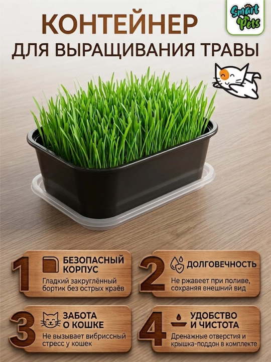 Трава для кошек Smart Pets, кошачья трава — лакомство для кошек