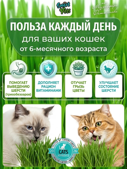Трава для кошек Smart Pets, кошачья трава — лакомство для кошек