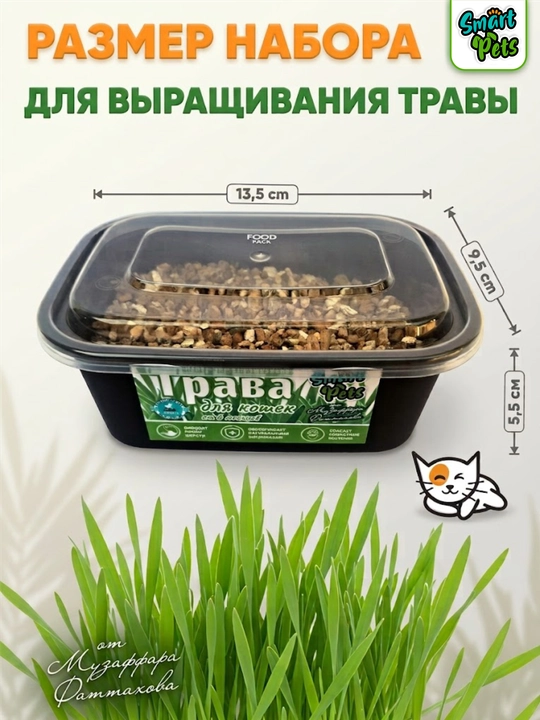 Трава для кошек Smart Pets, кошачья трава — лакомство для кошек