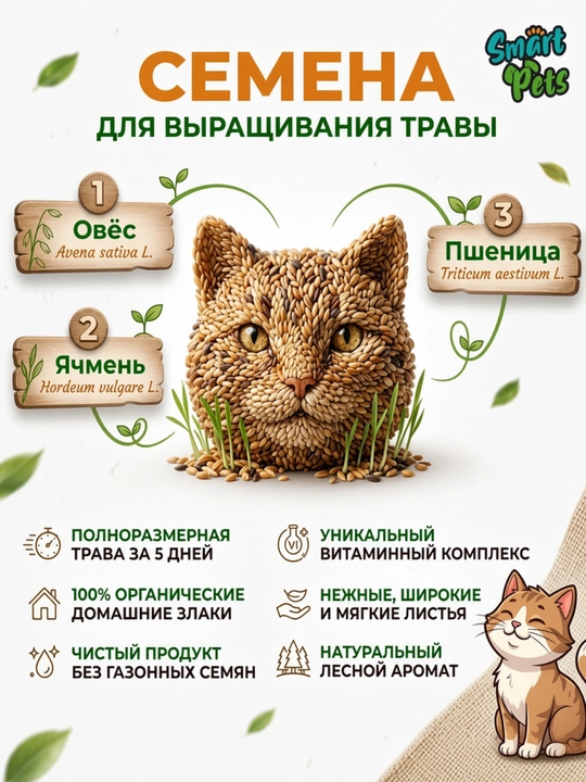 Трава для кошек Smart Pets, кошачья трава — лакомство для кошек