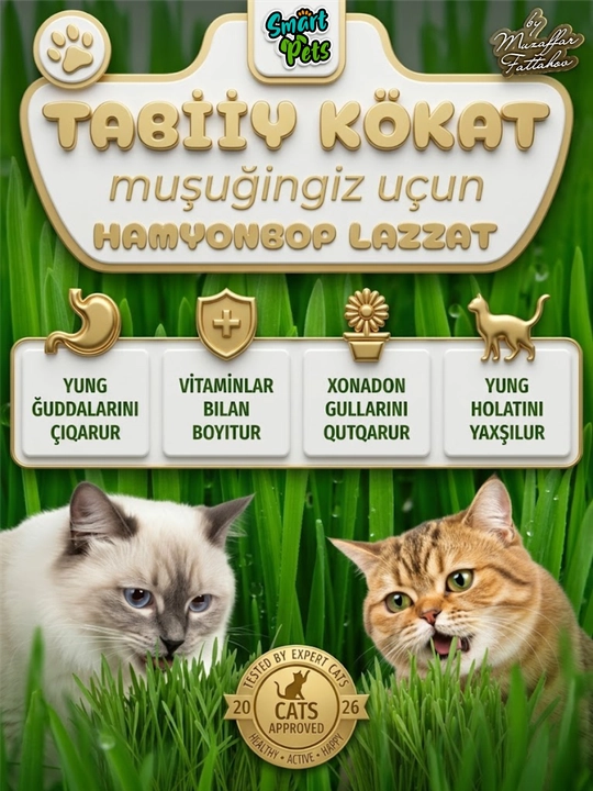 Трава для кошек Smart Pets, кошачья трава — лакомство для кошек