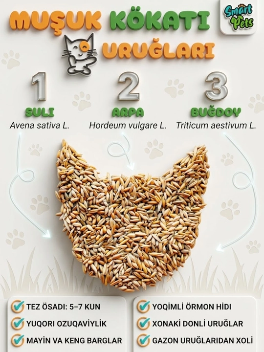 Трава для кошек Smart Pets, кошачья трава — лакомство для кошек