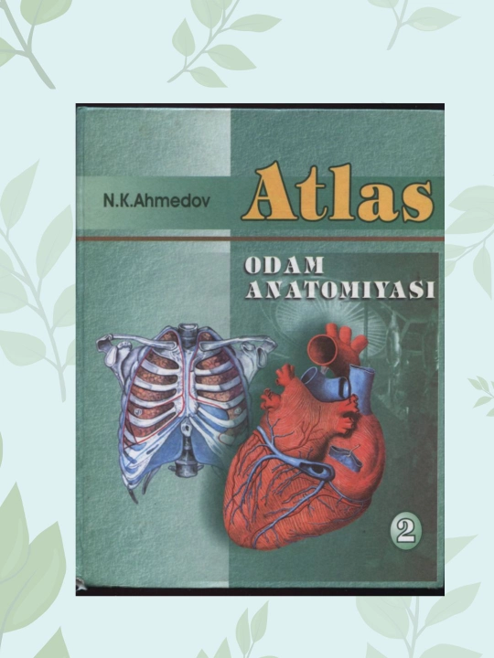 Odam anatomiyasi atlasi 2-tom N.K. Ahmedov, Tibbiyot talabalari uchun darslik - 