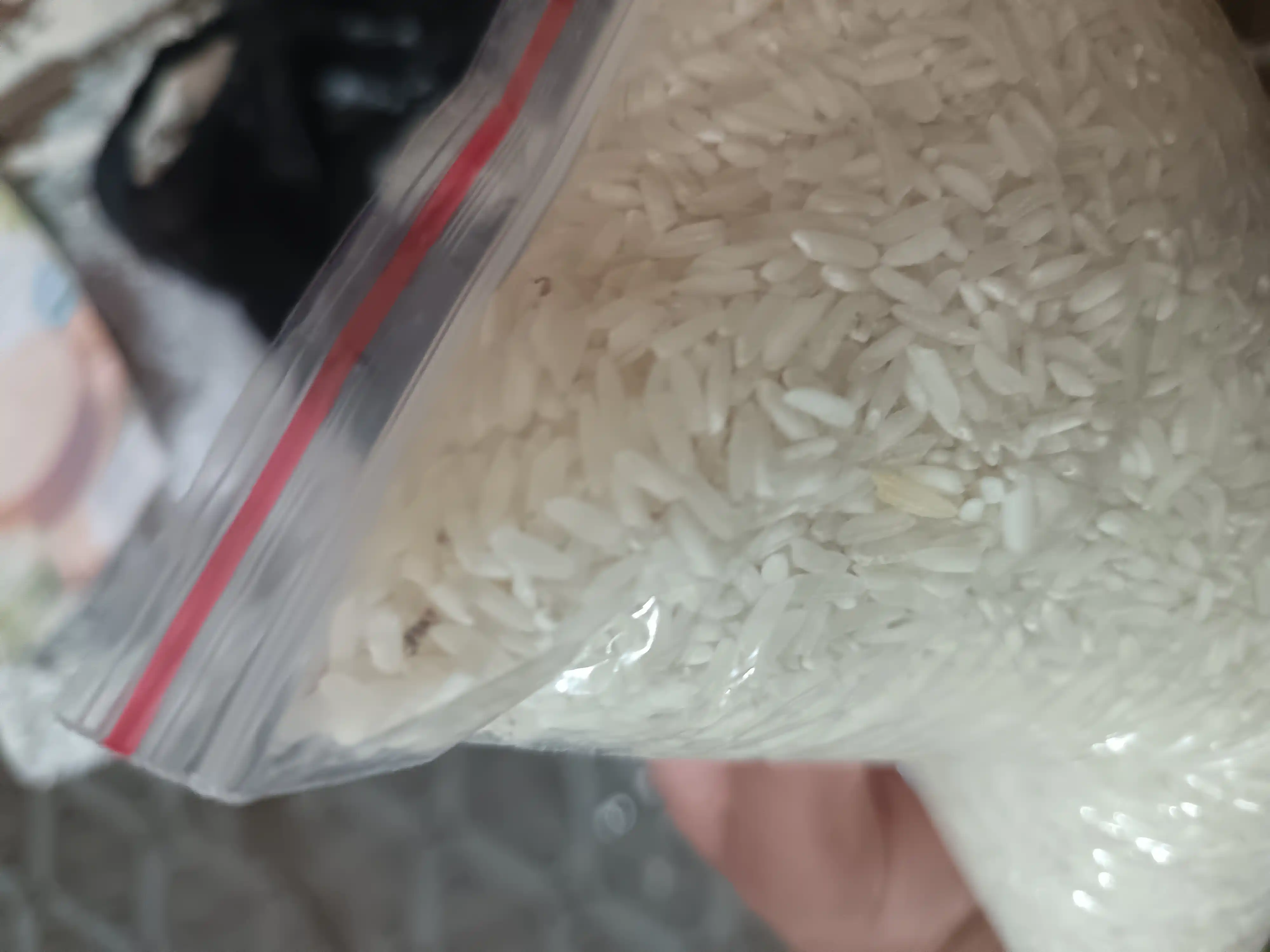 Lazer guruchi Oliy navli  1kg uzbek guruchi palov uchun donador sifatli tabiiy