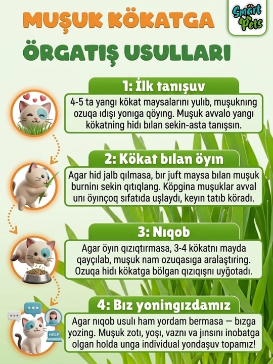 Трава для кошек Smart Pets, кошачья трава — лакомство для кошек