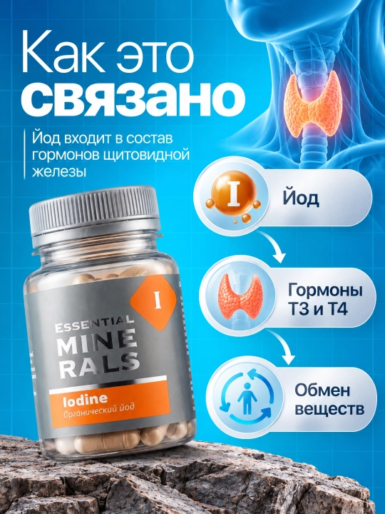 Organik Yod Iodine – aqliy faollik va energiya uchun,qalqonsimon bezni qo‘llab-quvvatlaydi