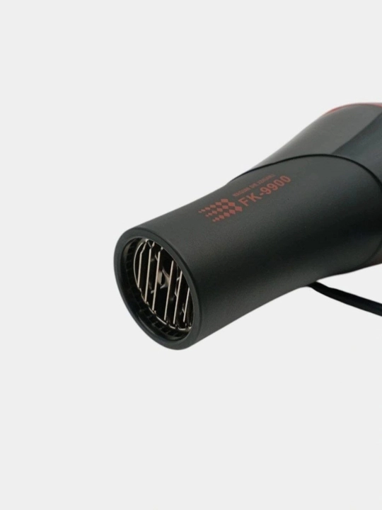 Fen, soch quritish va turmaklash uchun professional ION FaKang FK9900, 2000W