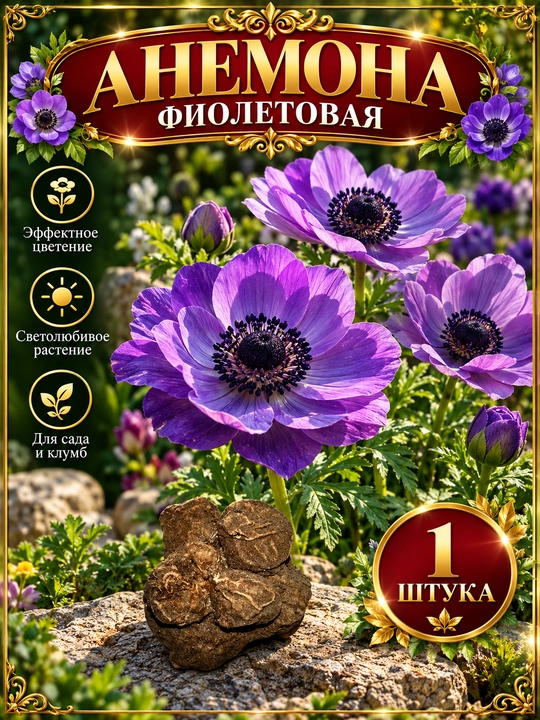Анемона — микс цветов - 