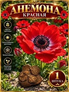 Sargʻish melanj