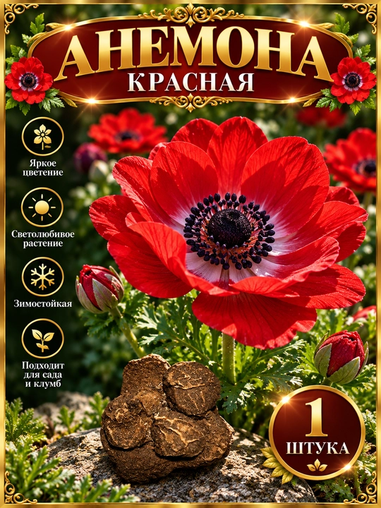 Анемона — микс цветов - 