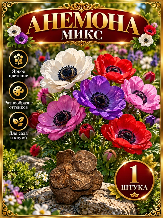 Анемона — микс цветов - 