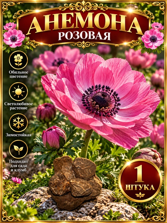 Анемона — микс цветов - 