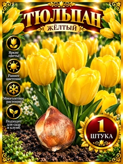 Ментоловый