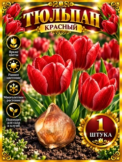 Бронзовый
