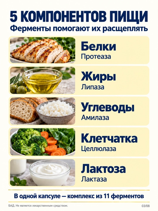 Enzymedica Digest Basic, ovqat hazm qilish uchun fermentlar (enzimlar), 90 ta kapsula