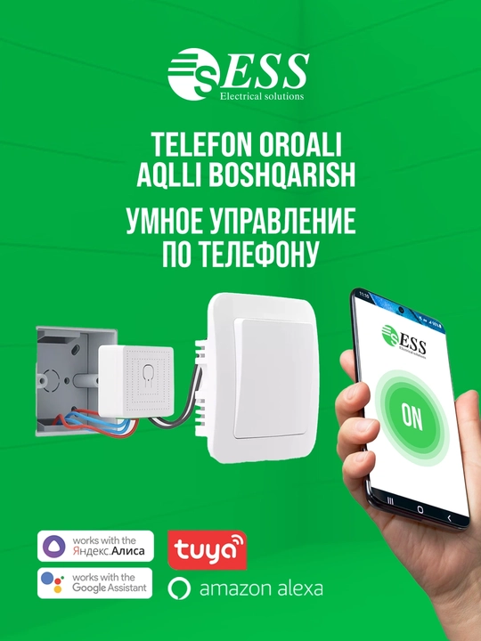 Aqilli Wi-Fi mini rele ovoz boshqaruvi bilan ESS, 1 C