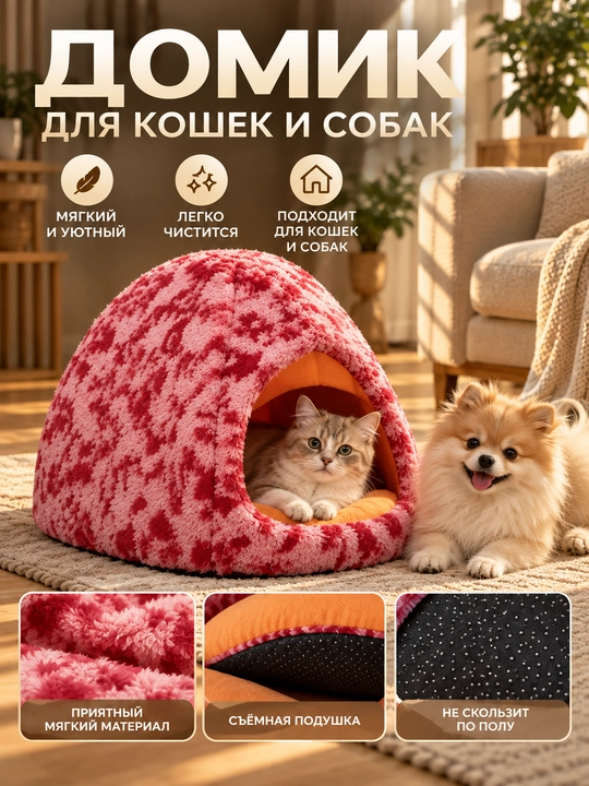 Mushuklar uyi - 