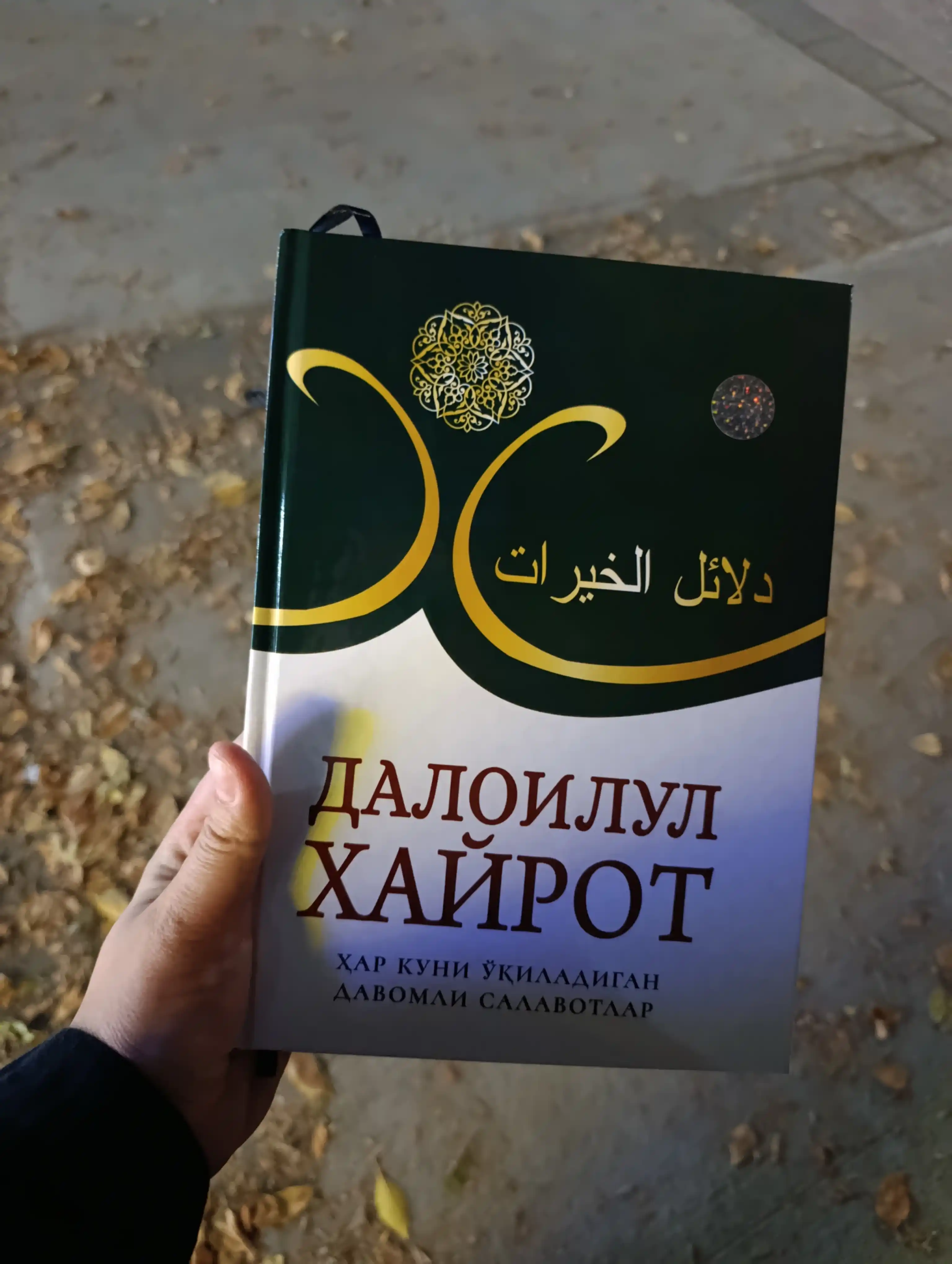 Далоилул Хайрот