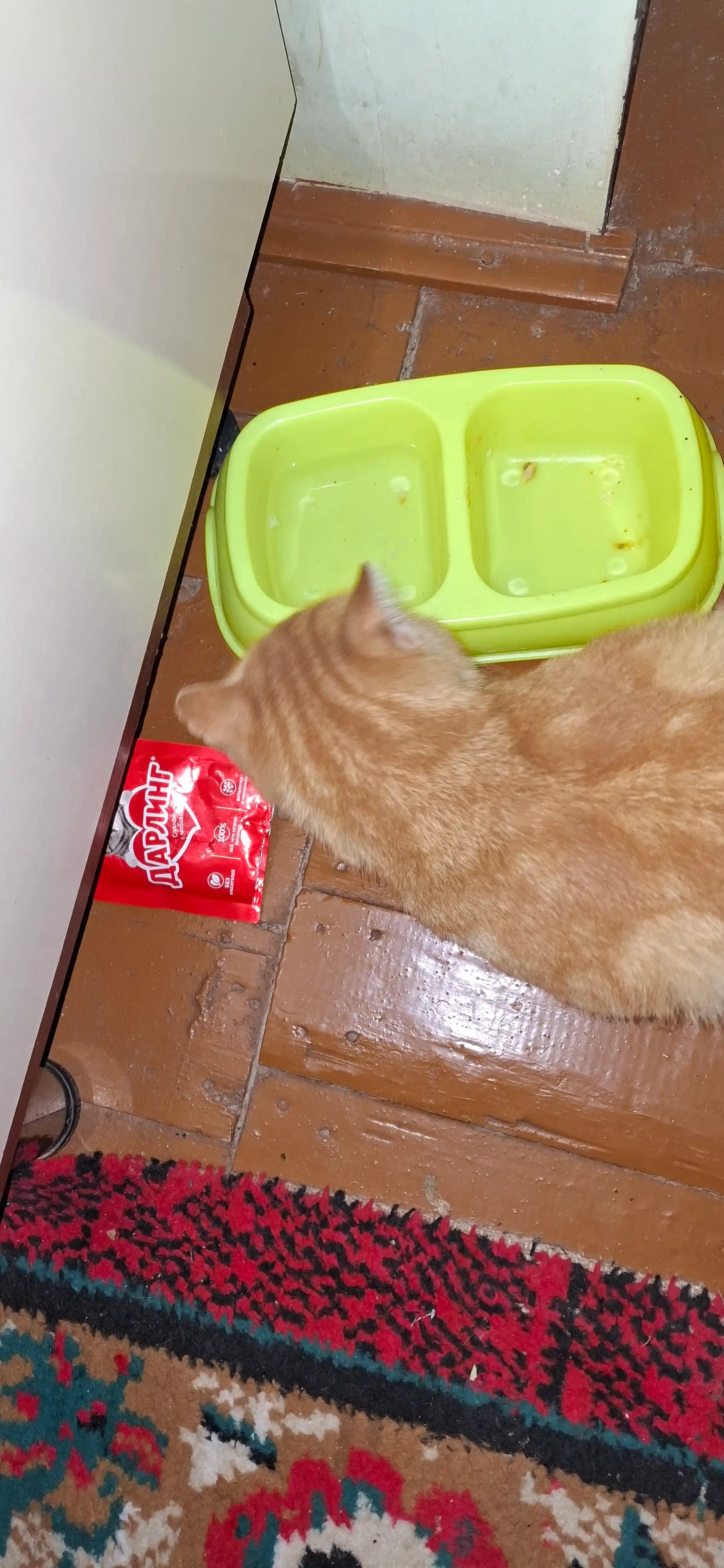 Darling nam ovqat, mushuklar uchun, sousdagi mol go'shti bilan, 75 gr 26 dona