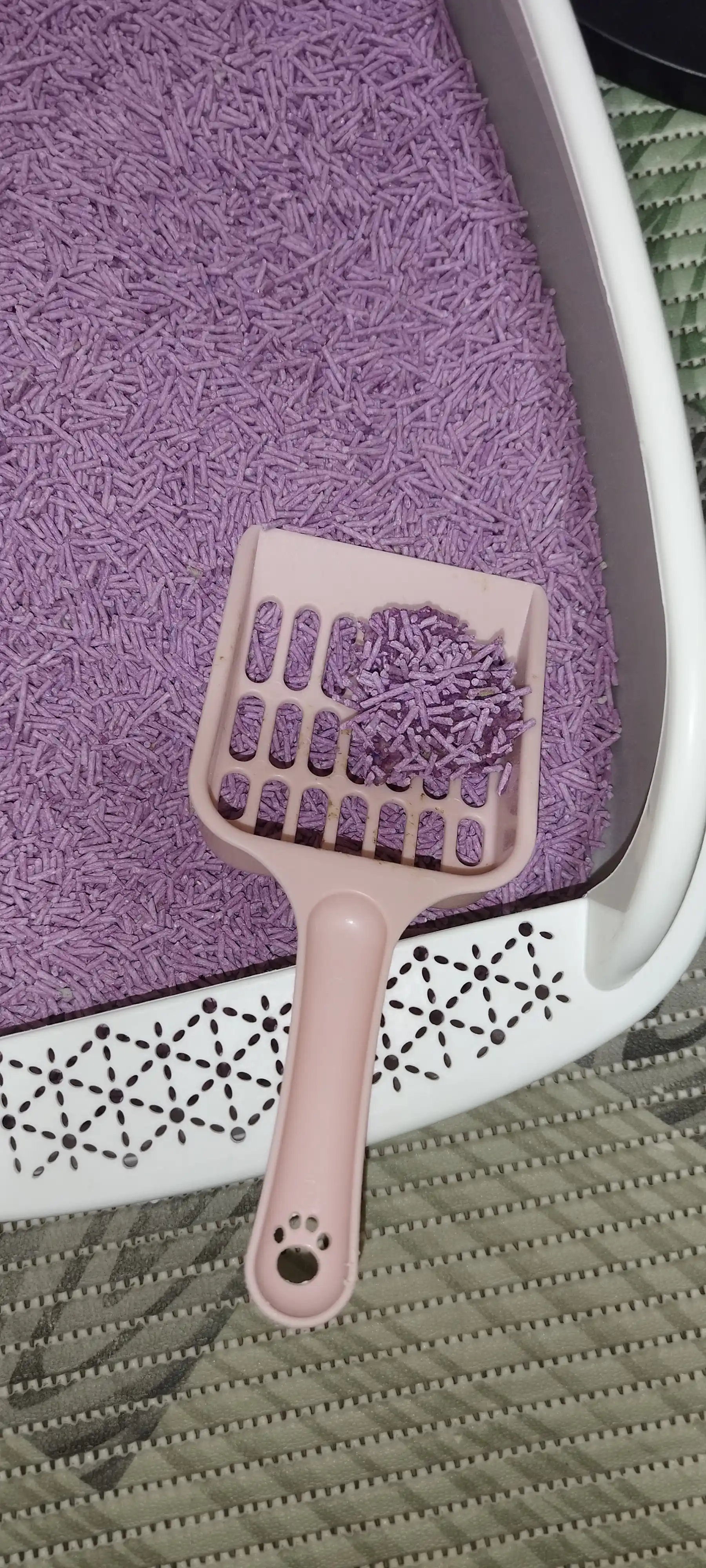 Proline Tofu Lavender 6л (2,5 кг) растительный наполнитель с ароматом лаванды