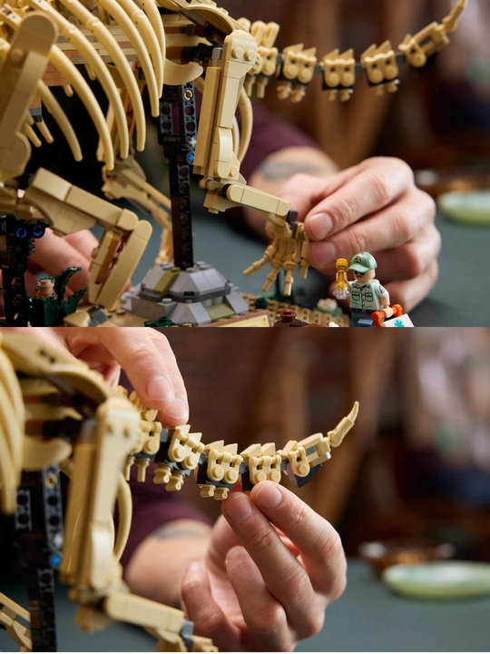 Konstruktor Lego Dinozavr qoldiqlari: Tritseratops skeleti, 1154 ta qism